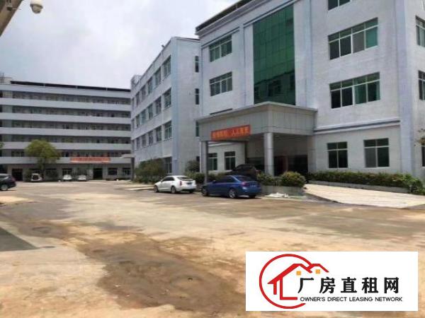  高埗镇冼沙独院标准厂房45600平大小可分租