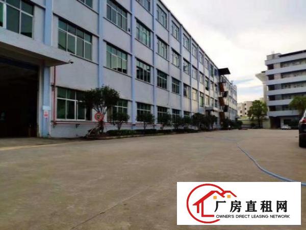  高埗镇冼沙独院标准厂房45600平大小可分租