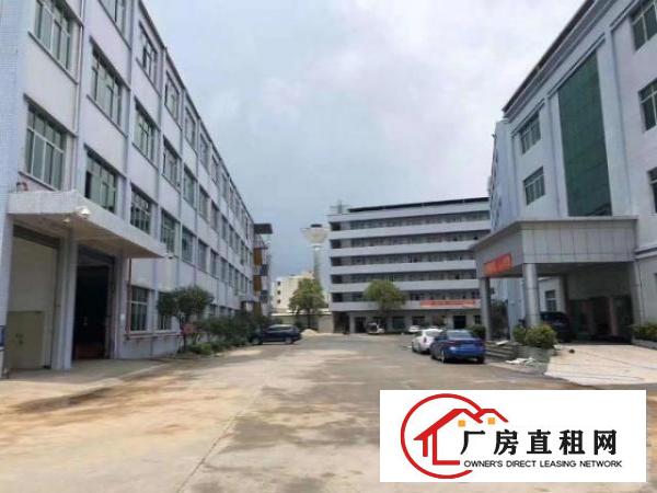  高埗镇冼沙独院标准厂房45600平大小可分租