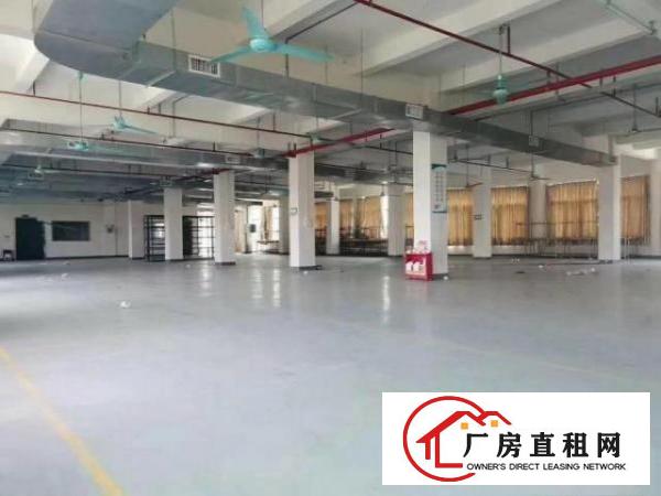  高埗镇冼沙独院标准厂房45600平大小可分租