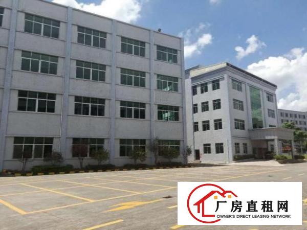  高埗镇冼沙独院标准厂房45600平大小可分租