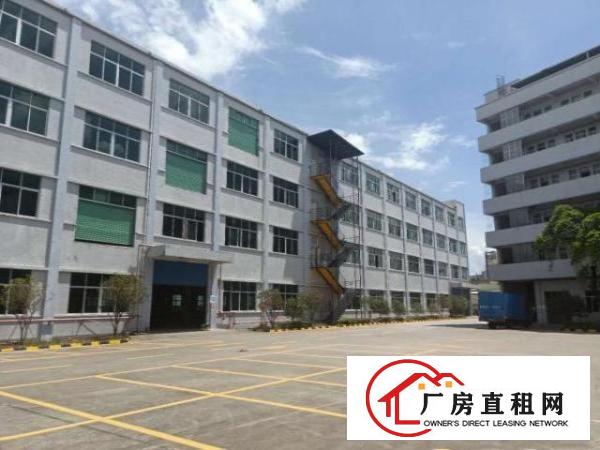  高埗镇冼沙独院标准厂房45600平大小可分租