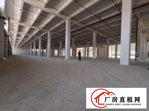  高埗镇独院标准厂房25330平