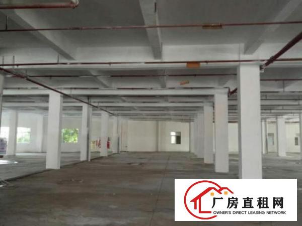  高埗保安围1300平方楼房1楼层出租水电齐全