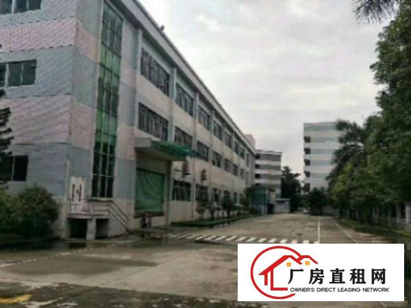  高埗花园式独院标准厂房10000平方出租可分租空地大工业用地