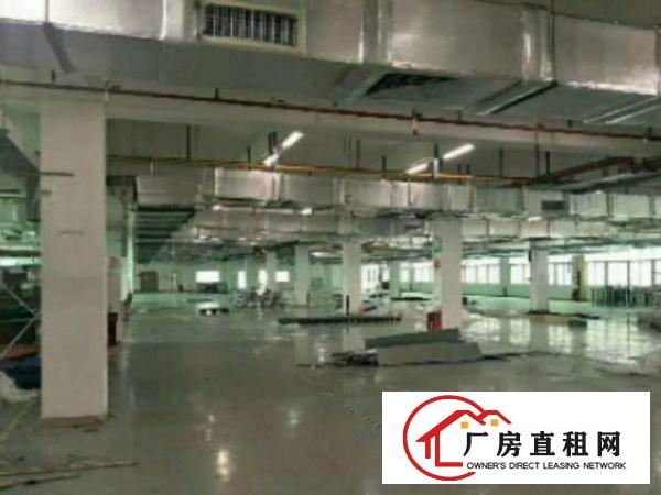  高埗花园式独院标准厂房10000平方出租可分租空地大工业用地