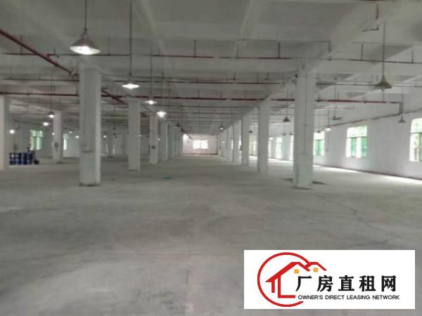  高埗镇全新独门独院，超大空地，可整租也可分