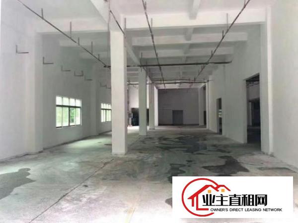  高埗标准一楼1500平方厂房出租带消防喷淋水电齐全