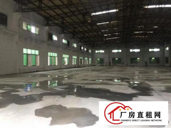  高埗护安围高薪产业园钢构单一层5000平方厂房出租