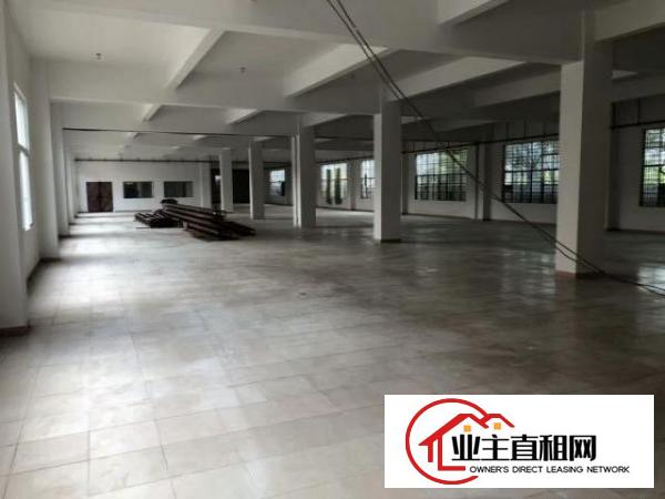  高埗标准一楼重工业厂房1600平方火爆招租管理规范，厂房水电