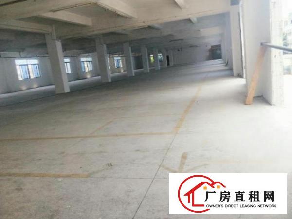  高埗1300平方1楼层出租离环成路2公里交通非常便利