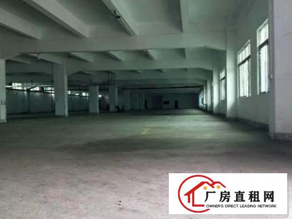  高埗塘厦标准厂房分租一楼2000平方形象好急租