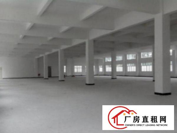  高埗标准楼上厂房分租500-3000平出租