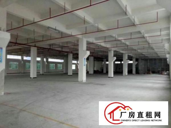  高埗2000平方米一楼7米高厂房出租现成水电装修带牛角