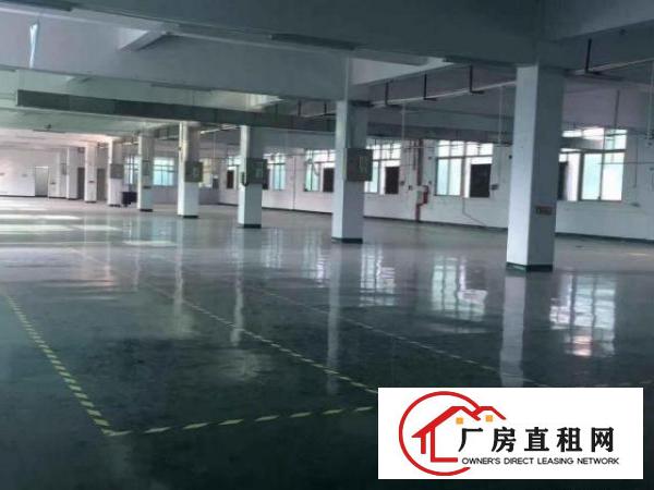  高埗工业区标准厂房分租楼上2000平