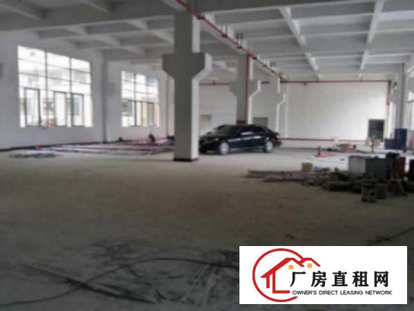  高埗标准一楼厂房500-5000平米低价招租水电线路齐全,空