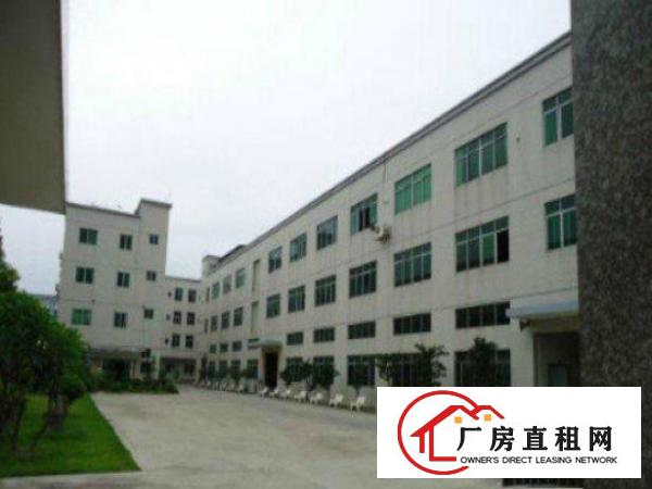  高埗标准一楼厂房500-5000平米低价招租水电线路齐全,空