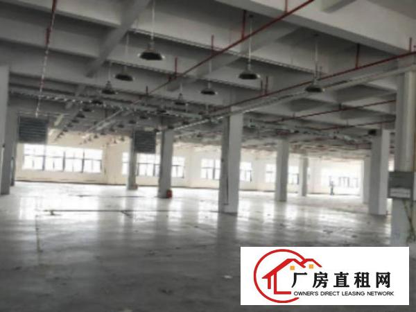  高埗标准厂房分租一楼1000平方米出租现成的水电和消防设施，