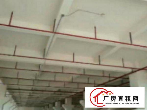  高埗标准一楼重工业厂房1500平方火爆招租管理规范，厂房水电