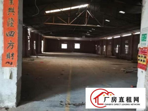  厂房位于高埗镇高龙路冼沙加油站附近