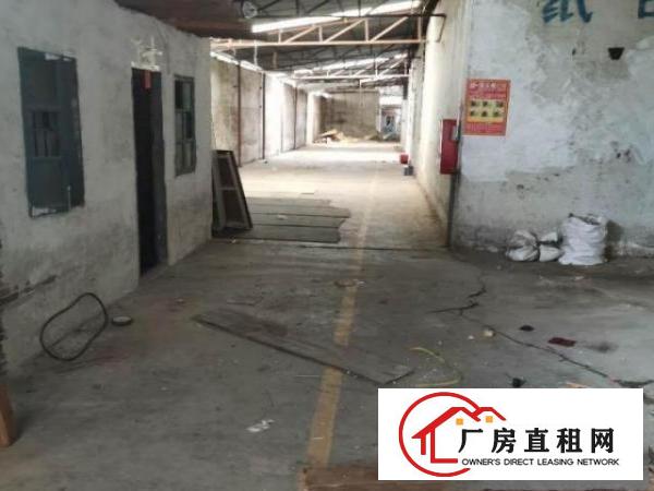  厂房位于高埗镇高龙路冼沙加油站附近