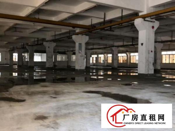  高埗工业区3楼2000平，有电梯，宿舍按需，有精装办公室