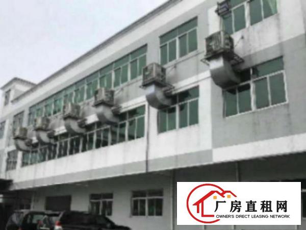  高埗九成新经典独院标准楼房厂房宿舍10000平方出租