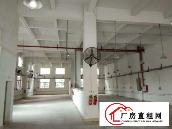  高埗工业园标准厂房一楼层高7米带行车1300平方出租
