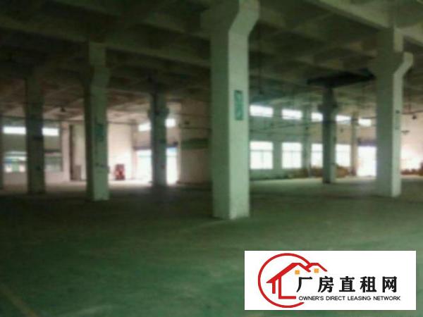  高埗现成装修标准一楼1600或1000平方招租