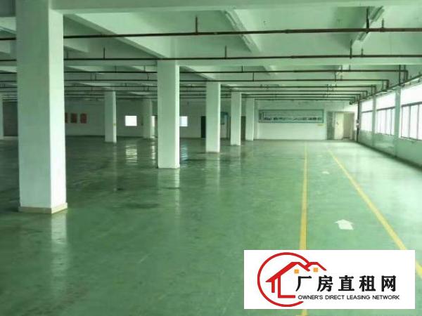  高埗现成装修标准一楼1600或1000平方招租