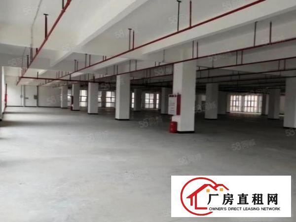  高埗镇北王路边厂房出租