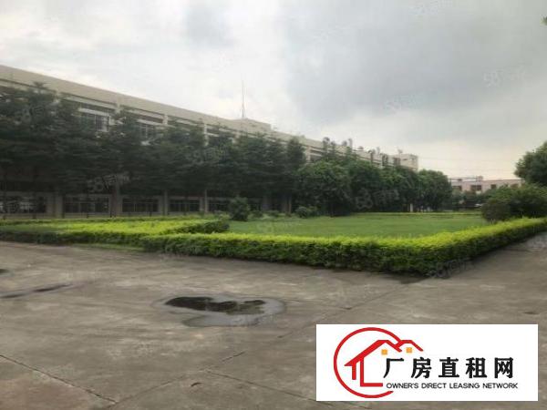  东莞市高埗镇独门独院标准厂房25540平方