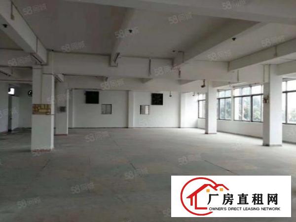  高埗镇百贸物流附近大型工业园区独栋厂房出租