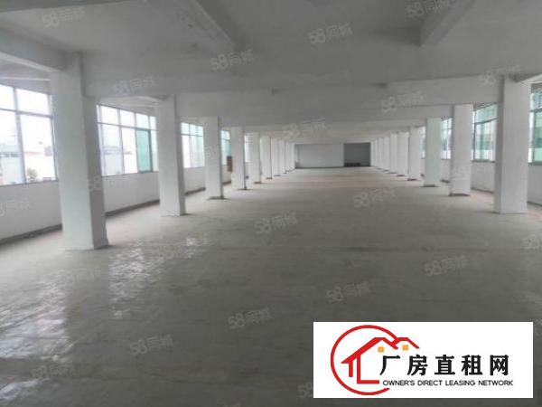  高埗镇百贸物流附近大型工业园区独栋厂房出租