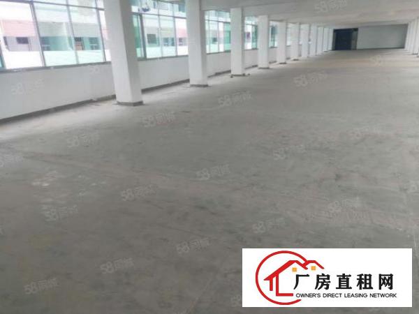  高埗镇百贸物流附近大型工业园区独栋厂房出租