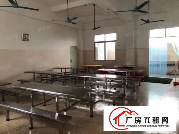  高埗镇百贸物流附近大型工业园区独栋厂房出租