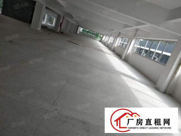  高埗镇百贸物流附近大型工业园区独栋厂房出租
