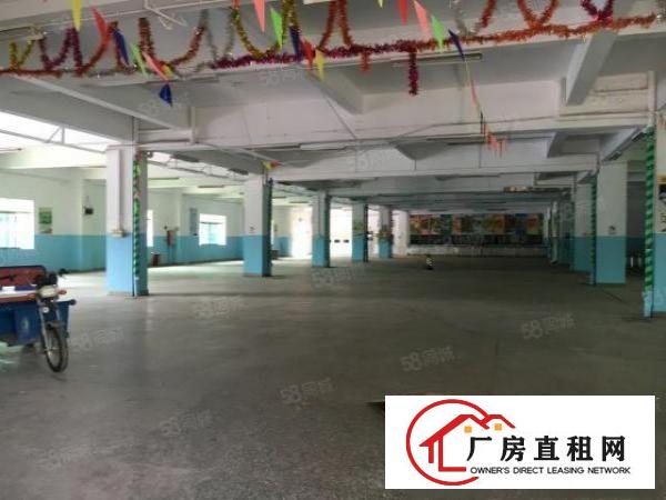  高埗镇标准厂房原房东4600平方交通方便