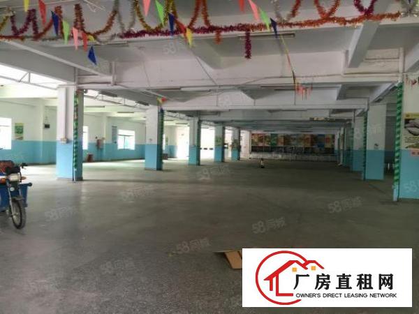  高埗镇标准厂房原房东4600平方交通方便