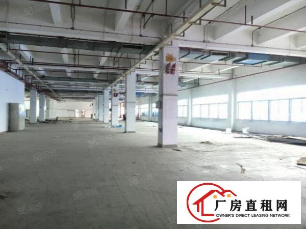  高埗镇标准厂房原房东4600平方交通方便