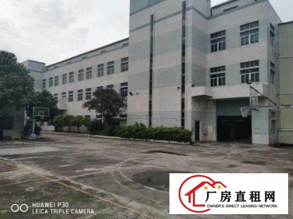  高埗镇新出12500平超大空地独院招租易办评
