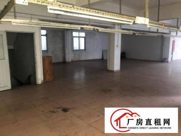  振兴101路，位于市中心