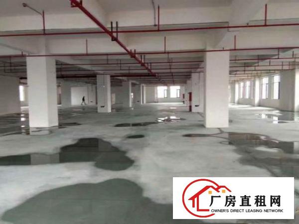  高埗独院一楼1700平厂房有精装办公室出租水电齐全，宿舍按需