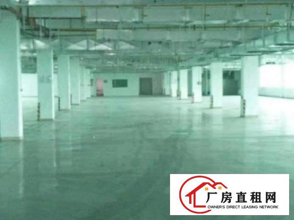  花园式独院厂房一楼730平米招租