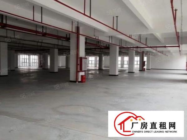  高埗镇北王路边厂房出租