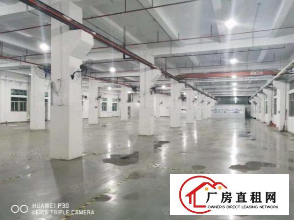  高埗镇新出12500平超大空地独院招租易办评