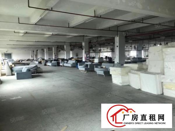  高埗冼沙形象好，独门独院厂房出租