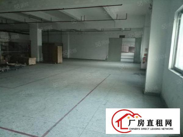  高埗冼沙形象好，独门独院厂房出租