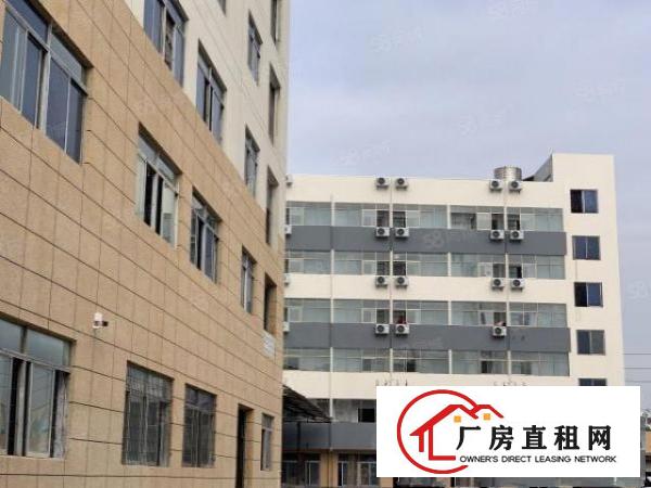  出租漂亮厂房12元一个平方
