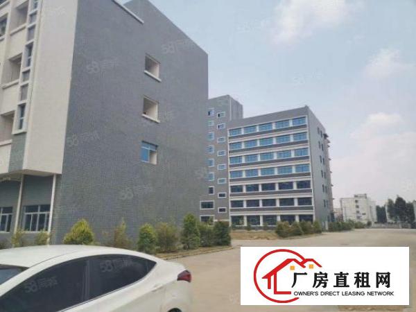  现成家具环评排污证东莞高埗独门独院标准厂房出租超大空地
